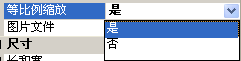 设置等比缩放